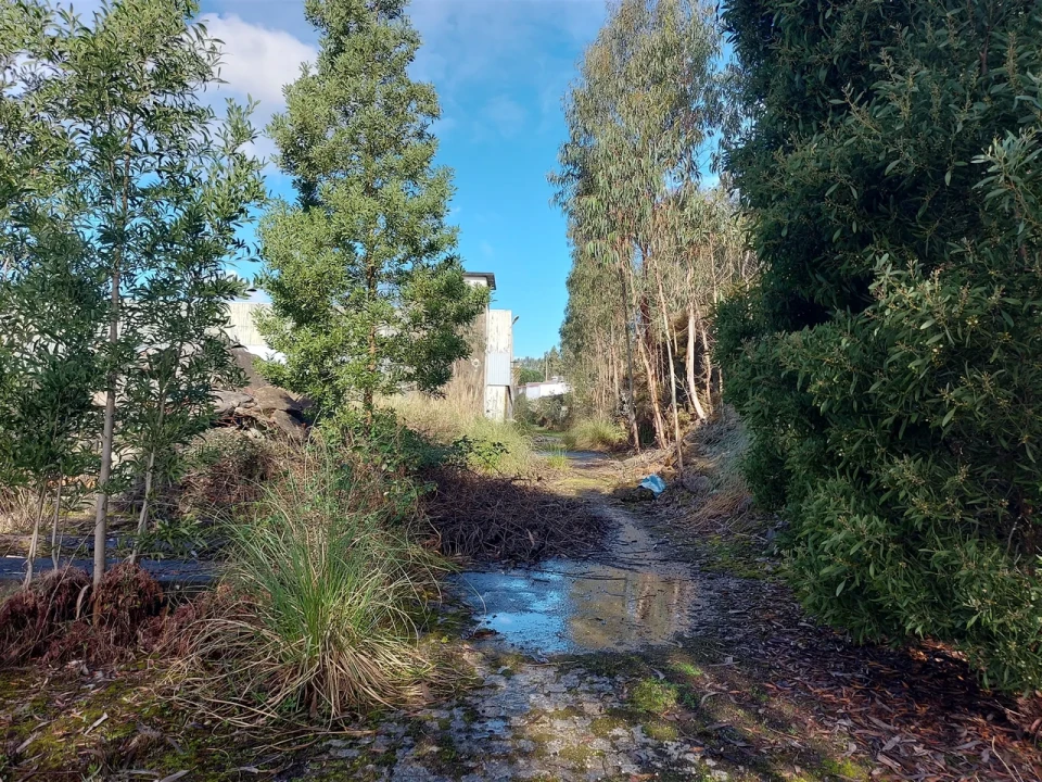 Terreno para Venda em Fânzeres e São Pedro da Cova Foto 16