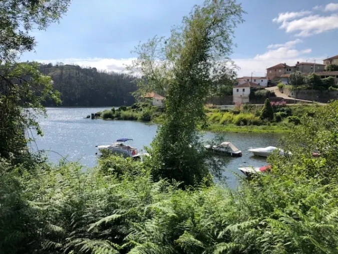 Terreno para Venda em Melres e Medas Foto 11