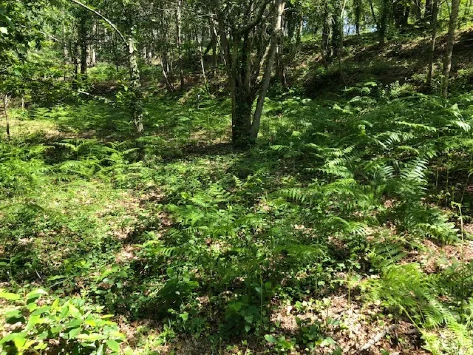 Terreno para Venda em Melres e Medas Foto 12