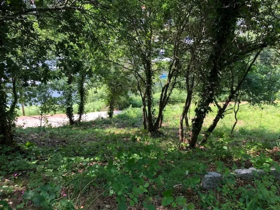 Terreno para Venda em Melres e Medas Foto 3