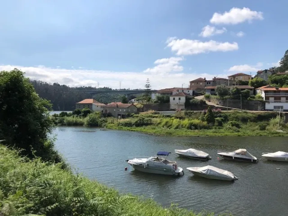 Terreno para Venda em Melres e Medas Foto 10