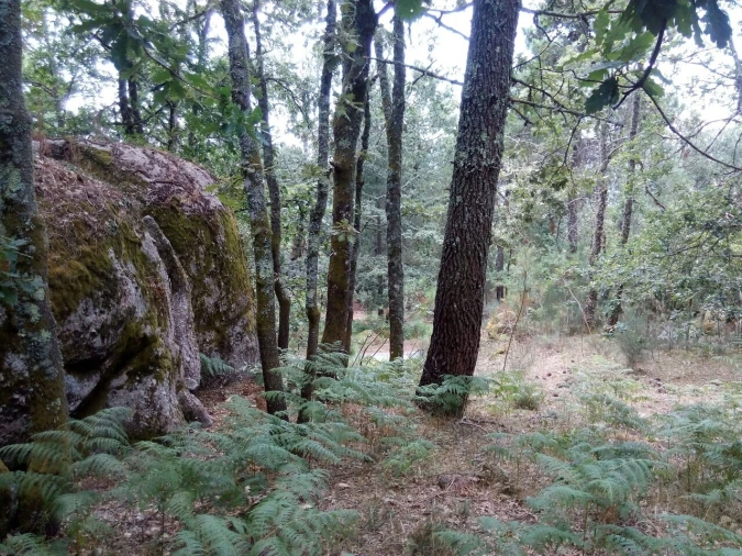 Terreno para Venda em Valadares Foto 4