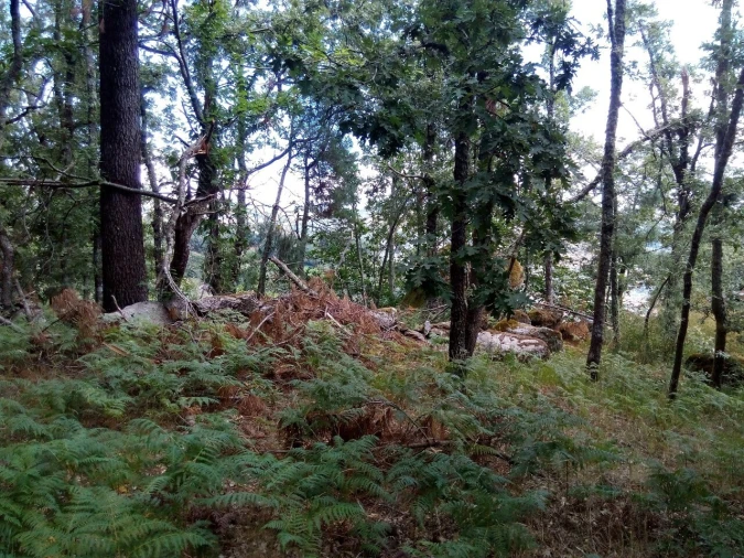 Terreno para Venda em Valadares Foto 5