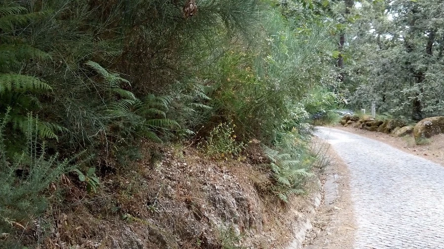 Terreno para Venda em Valadares