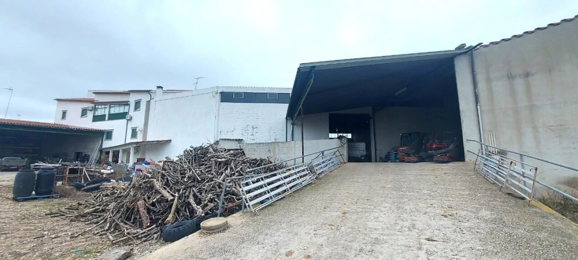Armazém para Venda em Ladoeiro Foto 10