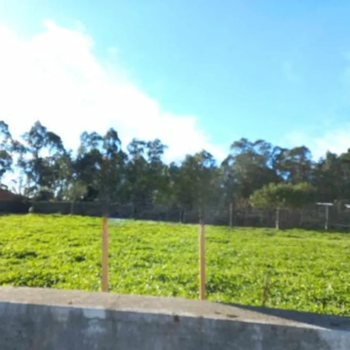 Terreno para Venda em São Martinho da Gandara Foto 9
