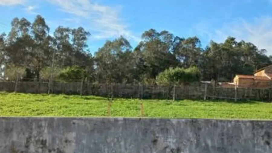 Terreno para Venda em São Martinho da Gandara