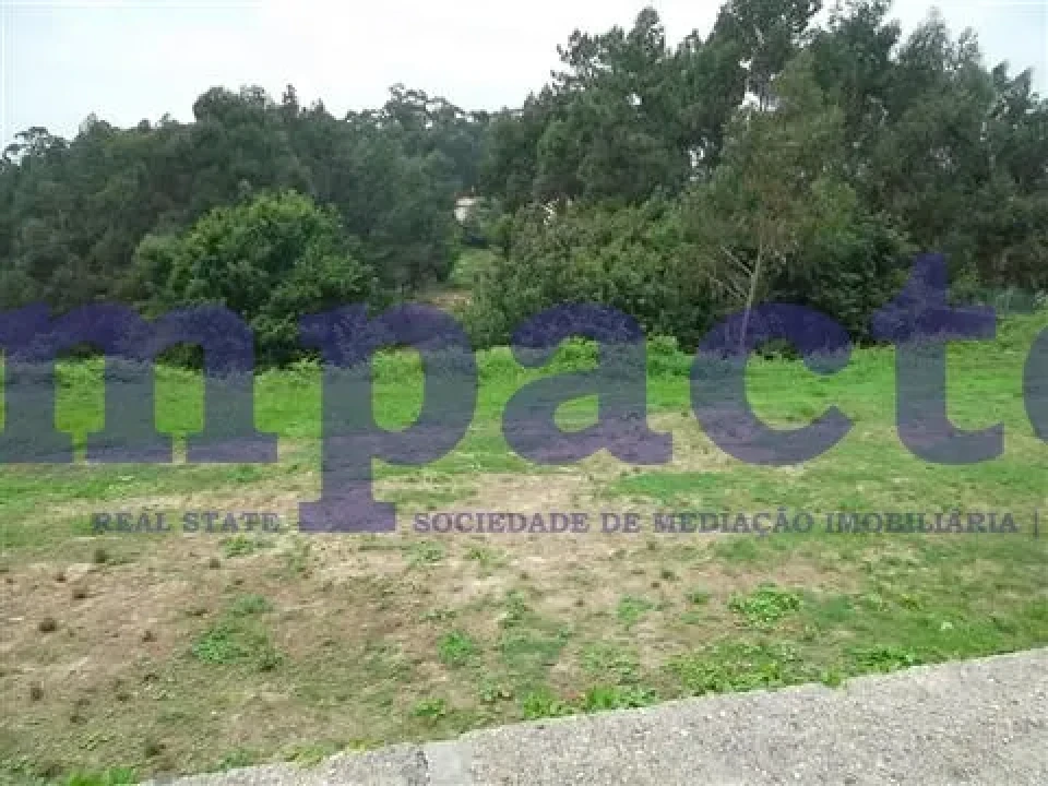 Terreno para Venda em Vila de Cucujães Foto 2