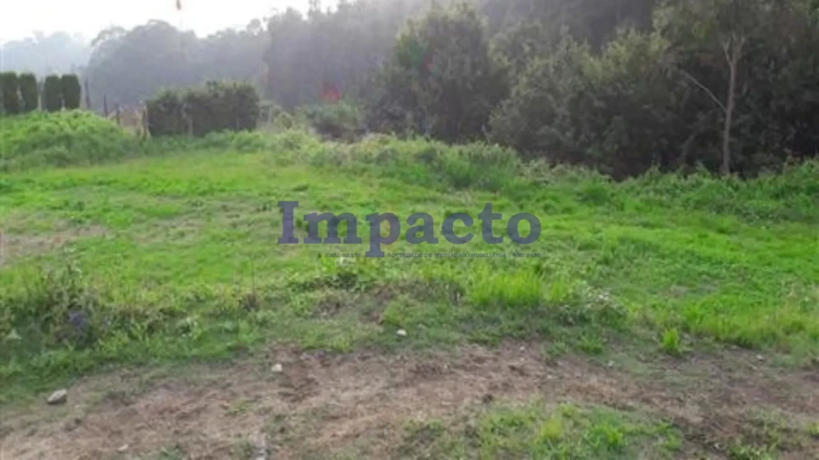 Terreno para Venda em Vila de Cucujães Foto 1