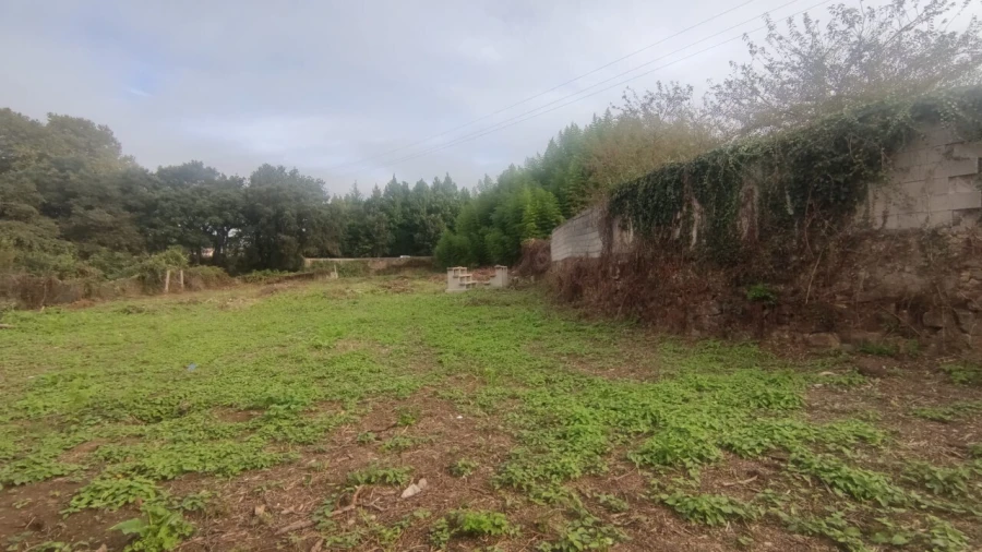 Moradia T4 para Venda em Santa Maria de Lamas Foto 31