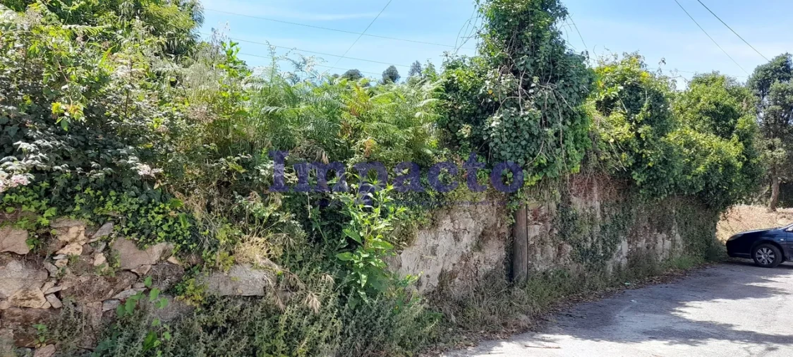 Terreno para Venda em Vila de Cucujães Foto 5