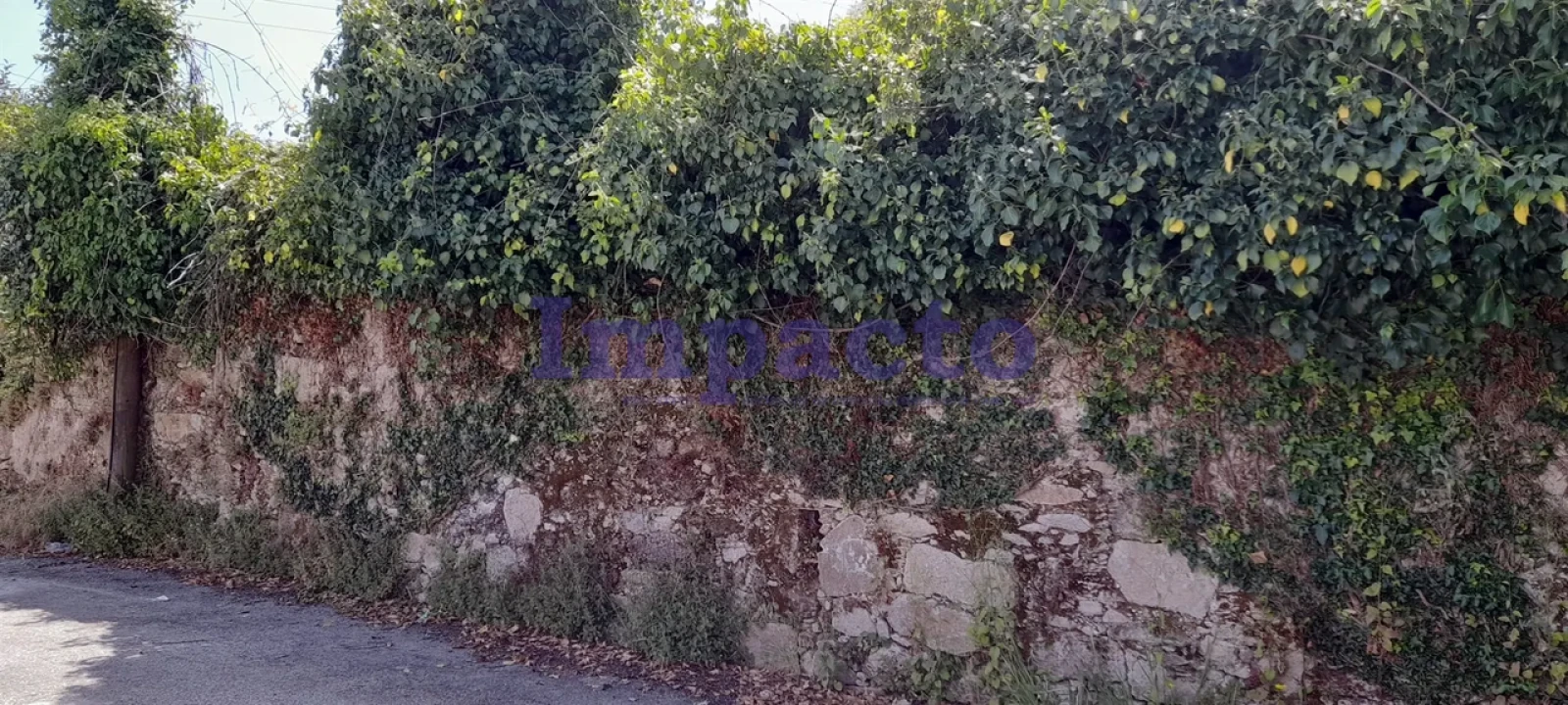 Terreno para Venda em Vila de Cucujães Foto 4