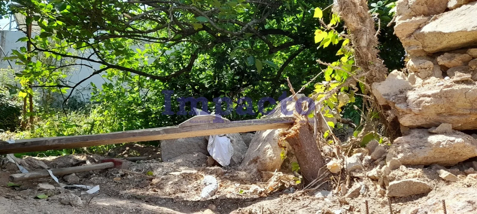 Terreno para Venda em Vila de Cucujães Foto 3