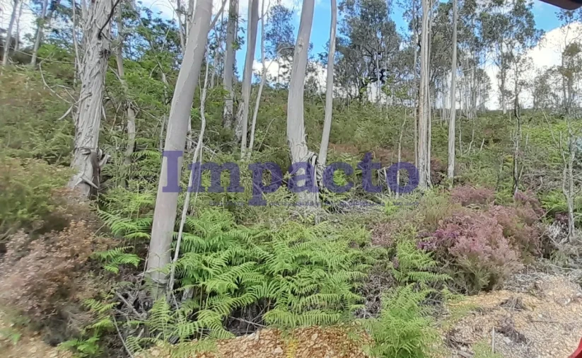 Terreno para Venda em Milheiros de Poiares Foto 4