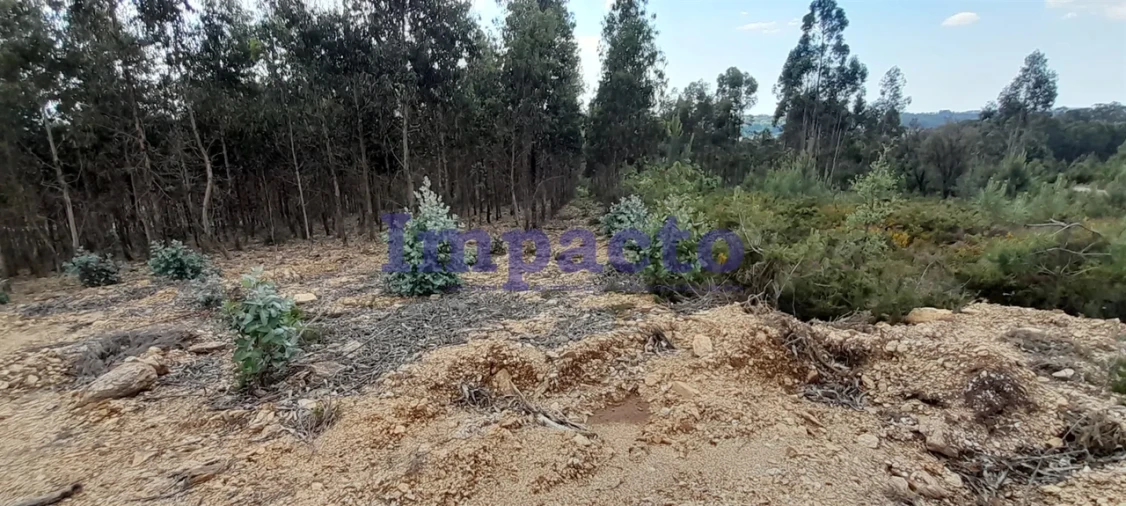 Terreno para Venda em Milheiros de Poiares