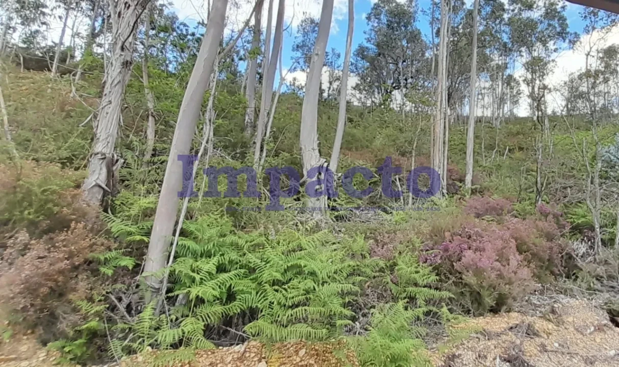 Terreno para Venda em Milheiros de Poiares Foto 3