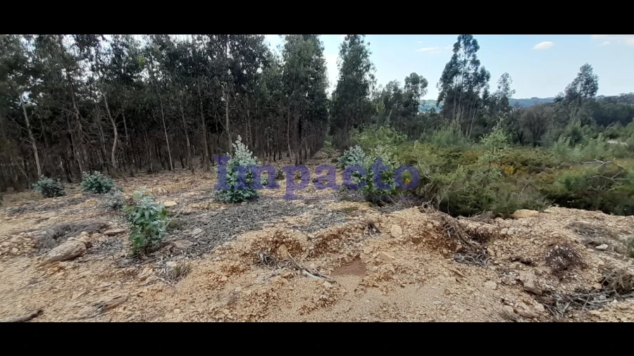Terreno para Venda em Milheiros de Poiares