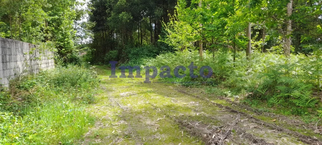 Terreno para Venda em Milheiros de Poiares Foto 9