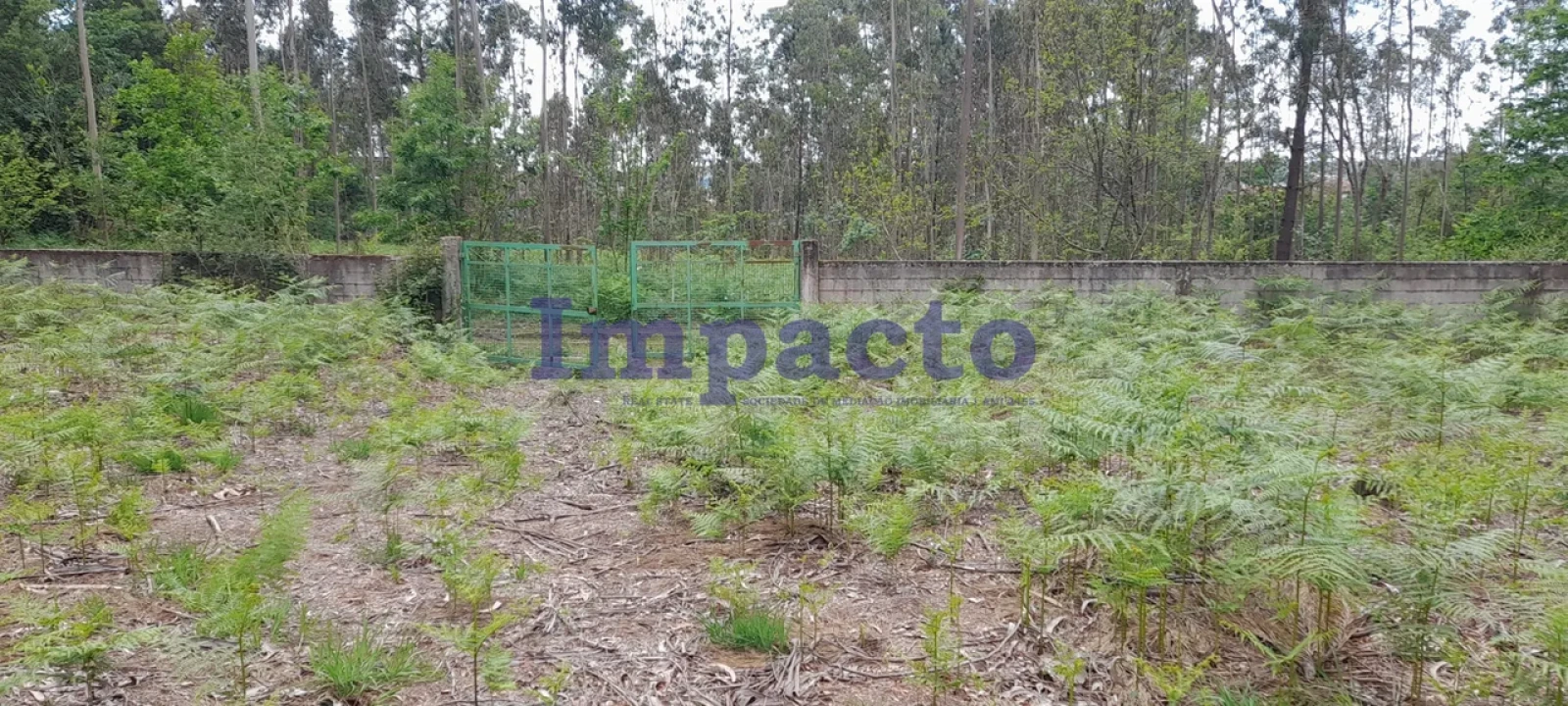 Terreno para Venda em Milheiros de Poiares Foto 7