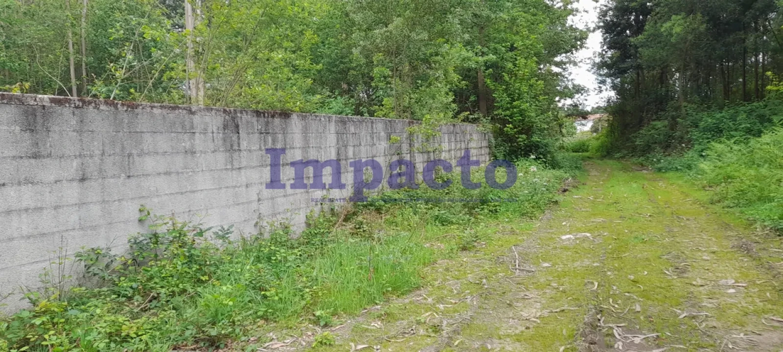 Terreno para Venda em Milheiros de Poiares Foto 14