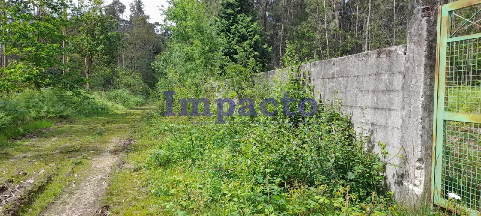 Terreno para Venda em Milheiros de Poiares Foto 16