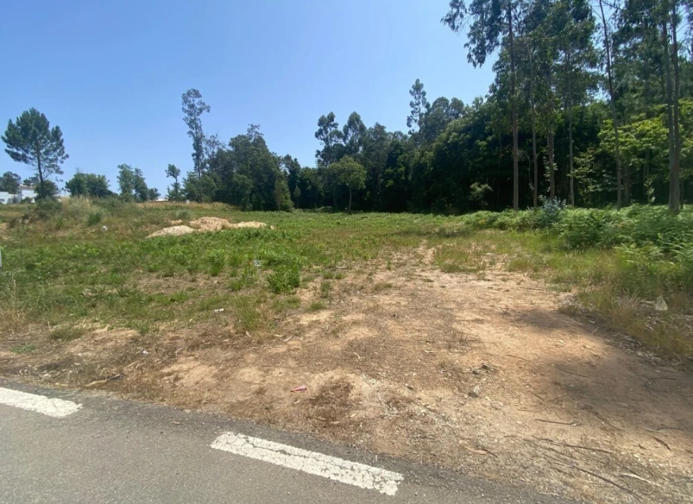 Terreno para Venda em São Miguel do Souto e Mosteirô Foto 2