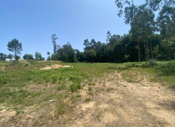 Terreno para Venda em São Miguel do Souto e Mosteirô Foto 1