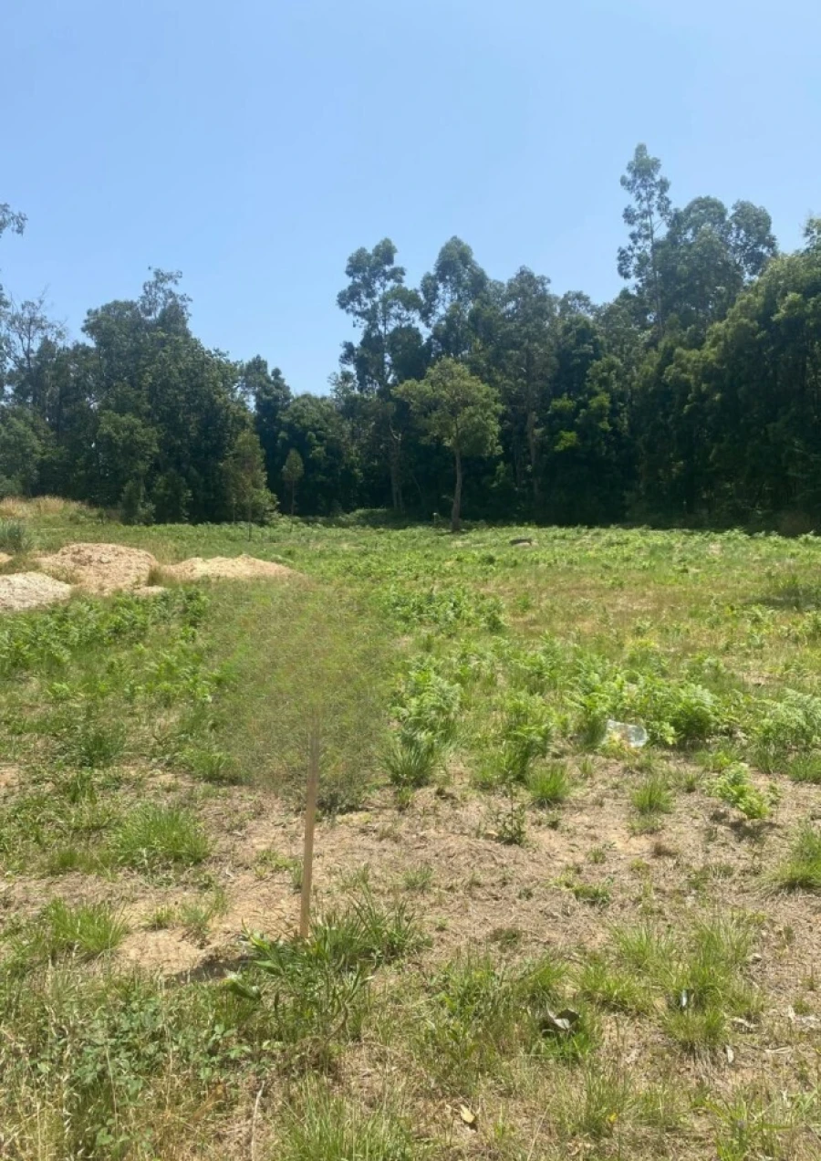 Terreno para Venda em São Miguel do Souto e Mosteirô Foto 4