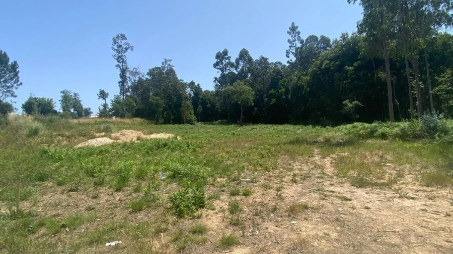 Terreno para Venda em São Miguel do Souto e Mosteirô