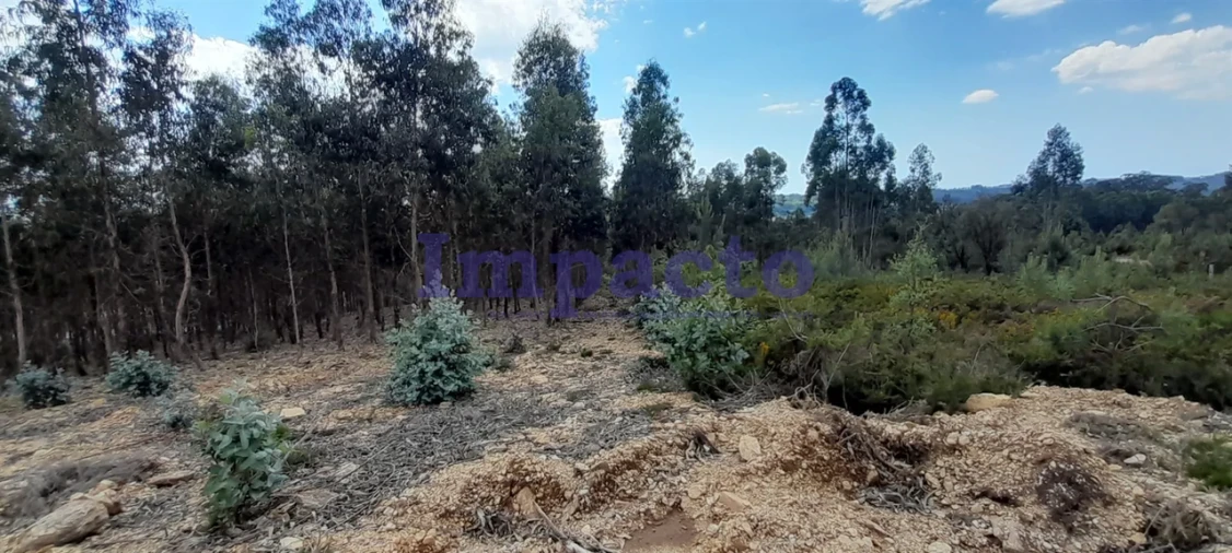 Terreno para Venda em Milheiros de Poiares Foto 4