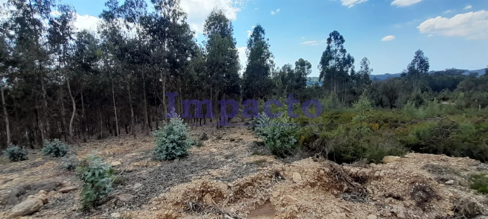 Terreno para Venda em Milheiros de Poiares Foto 4