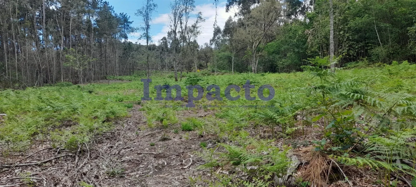 Terreno para Venda em Milheiros de Poiares Foto 6