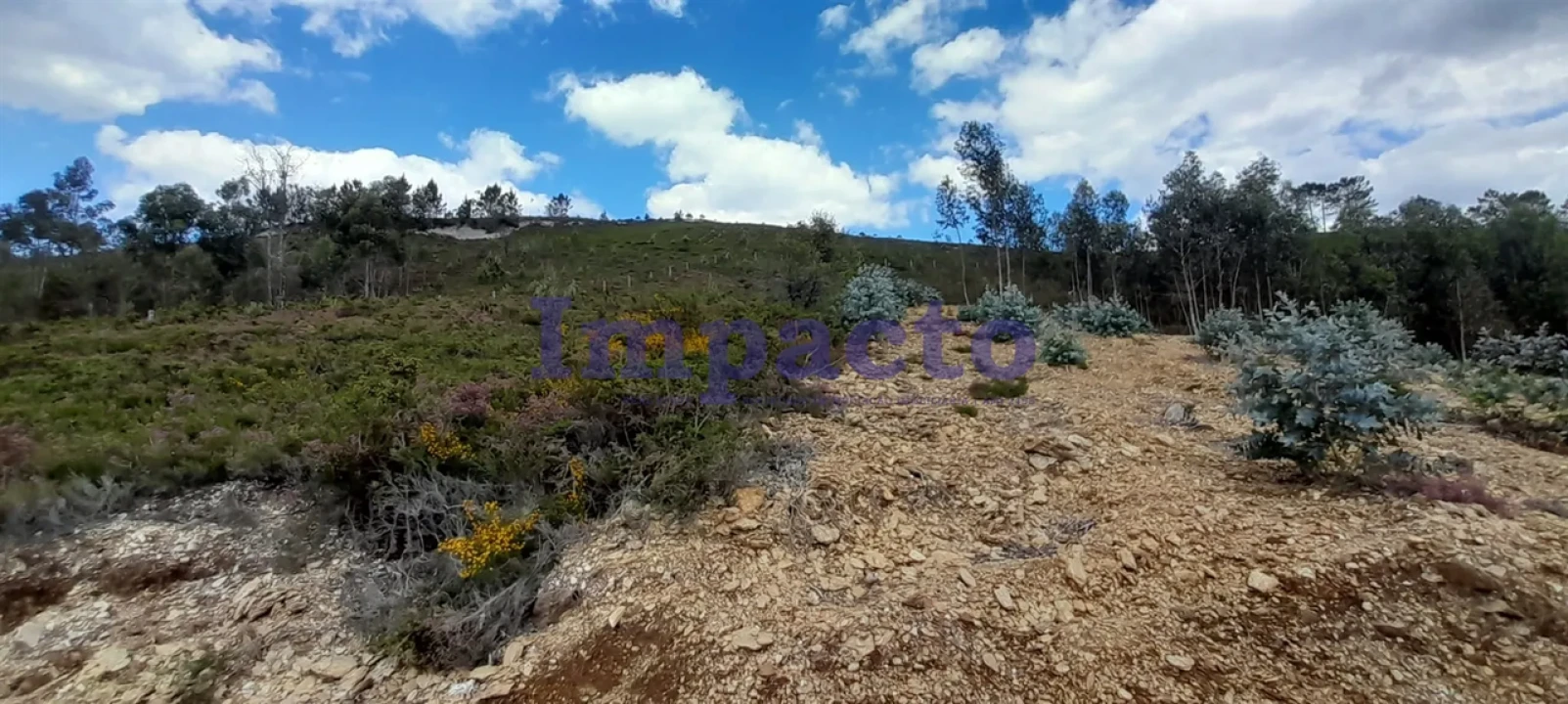 Terreno para Venda em Milheiros de Poiares Foto 3