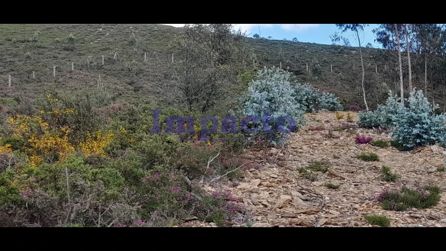 Terreno para Venda em Milheiros de Poiares