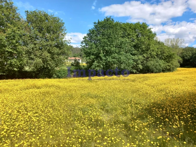 Terreno para Venda em Escariz Foto 1