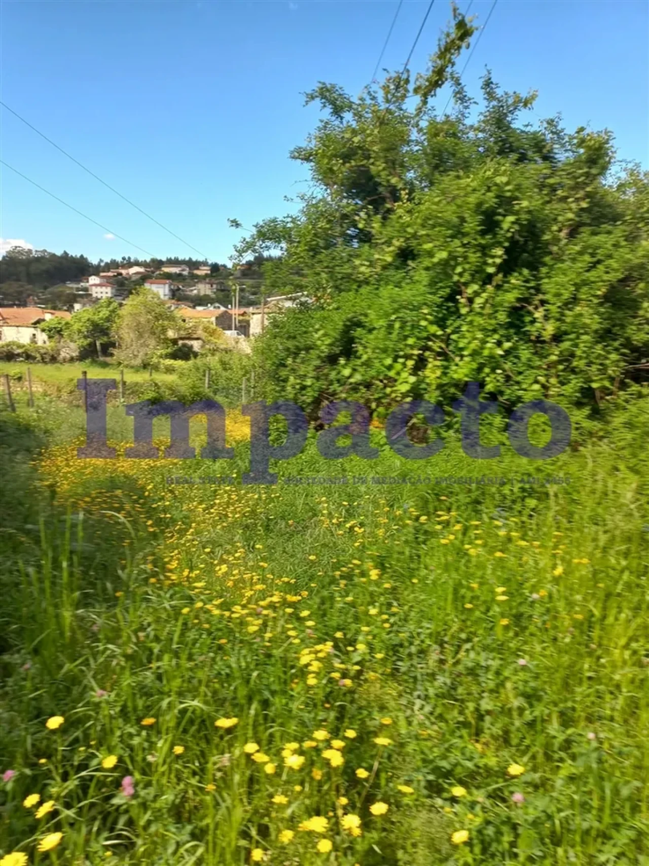 Terreno para Venda em Escariz Foto 3