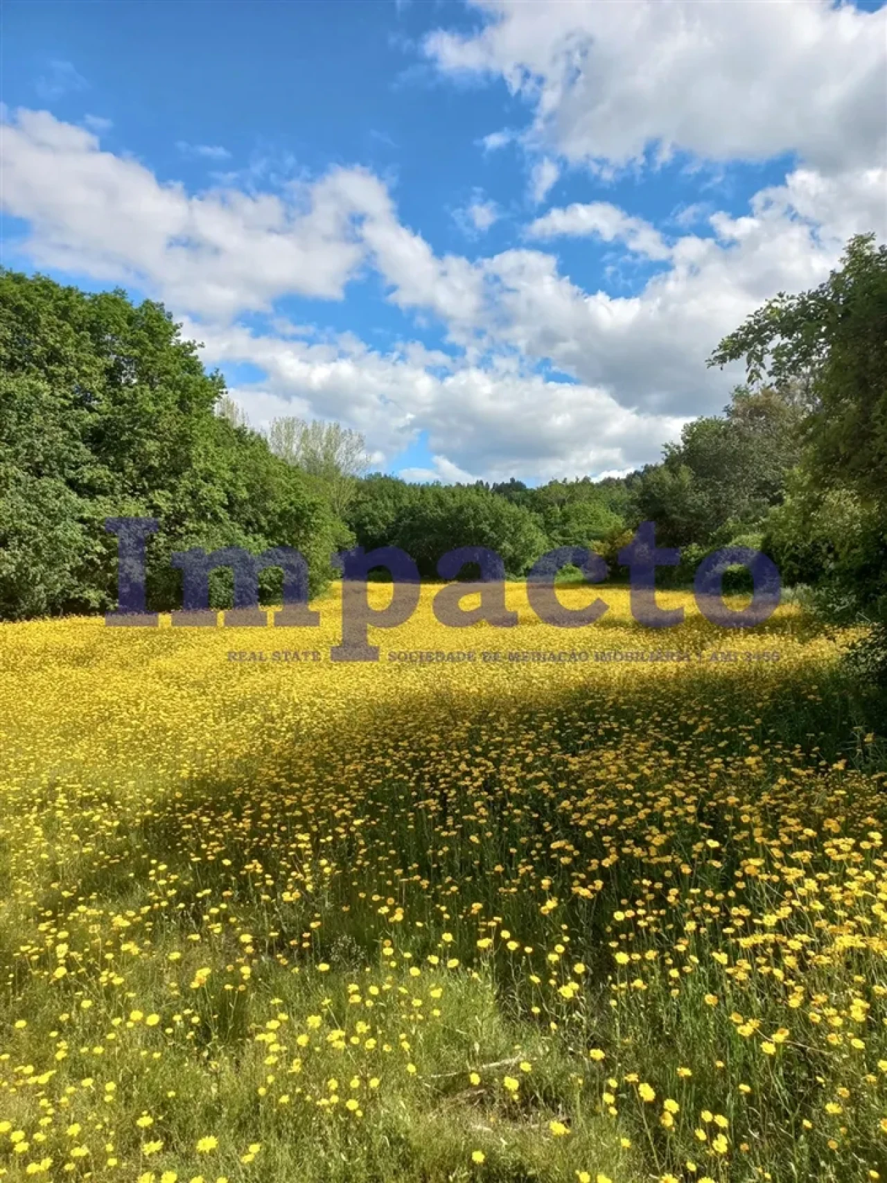 Terreno para Venda em Escariz Foto 4