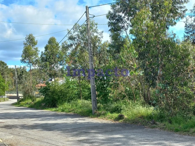 Terreno para Venda em Escariz Foto 6
