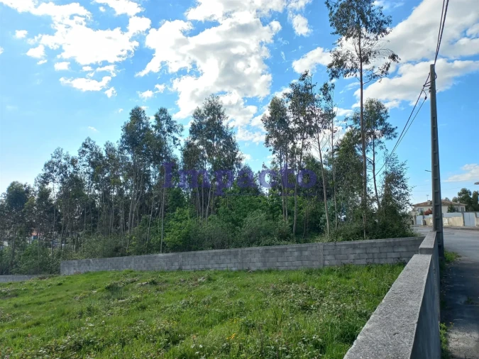 Terreno para Venda em Escariz