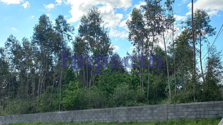 Terreno para Venda em Escariz
