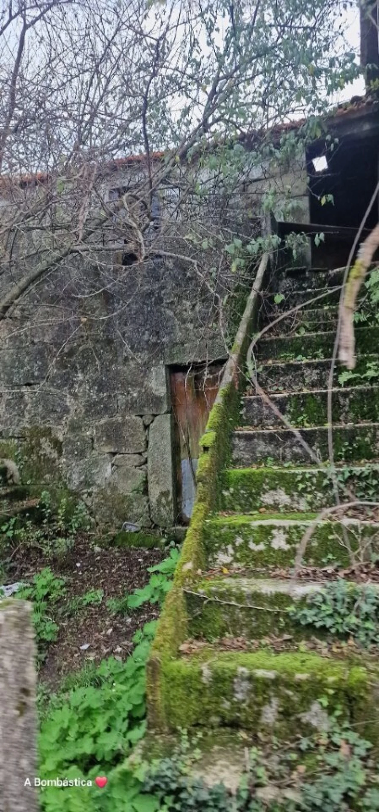 Terreno para Venda em Escariz Foto 7