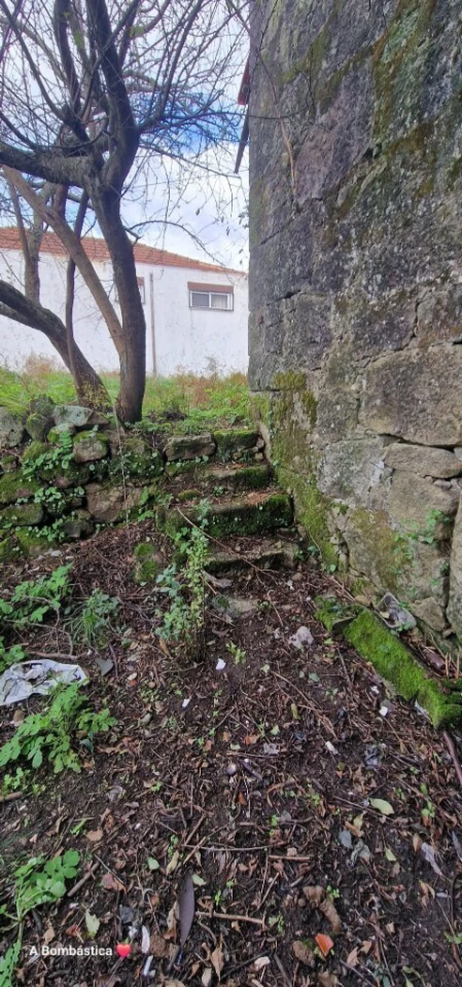 Terreno para Venda em Escariz Foto 4