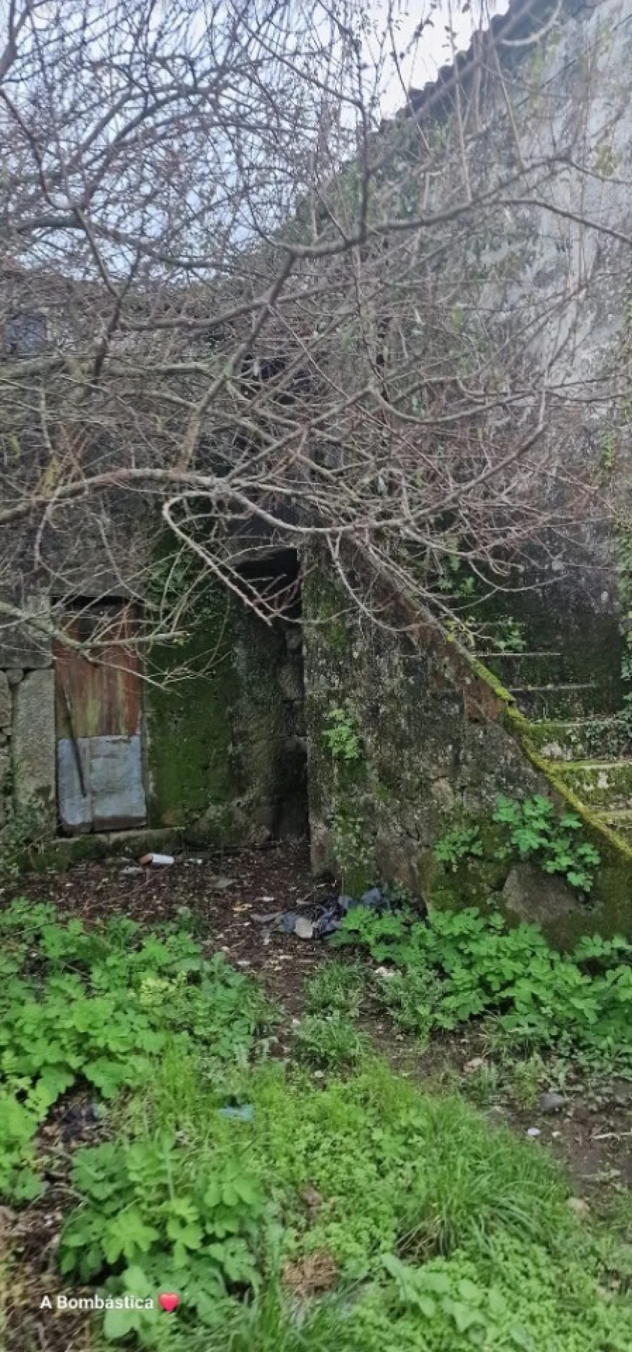 Terreno para Venda em Escariz Foto 6