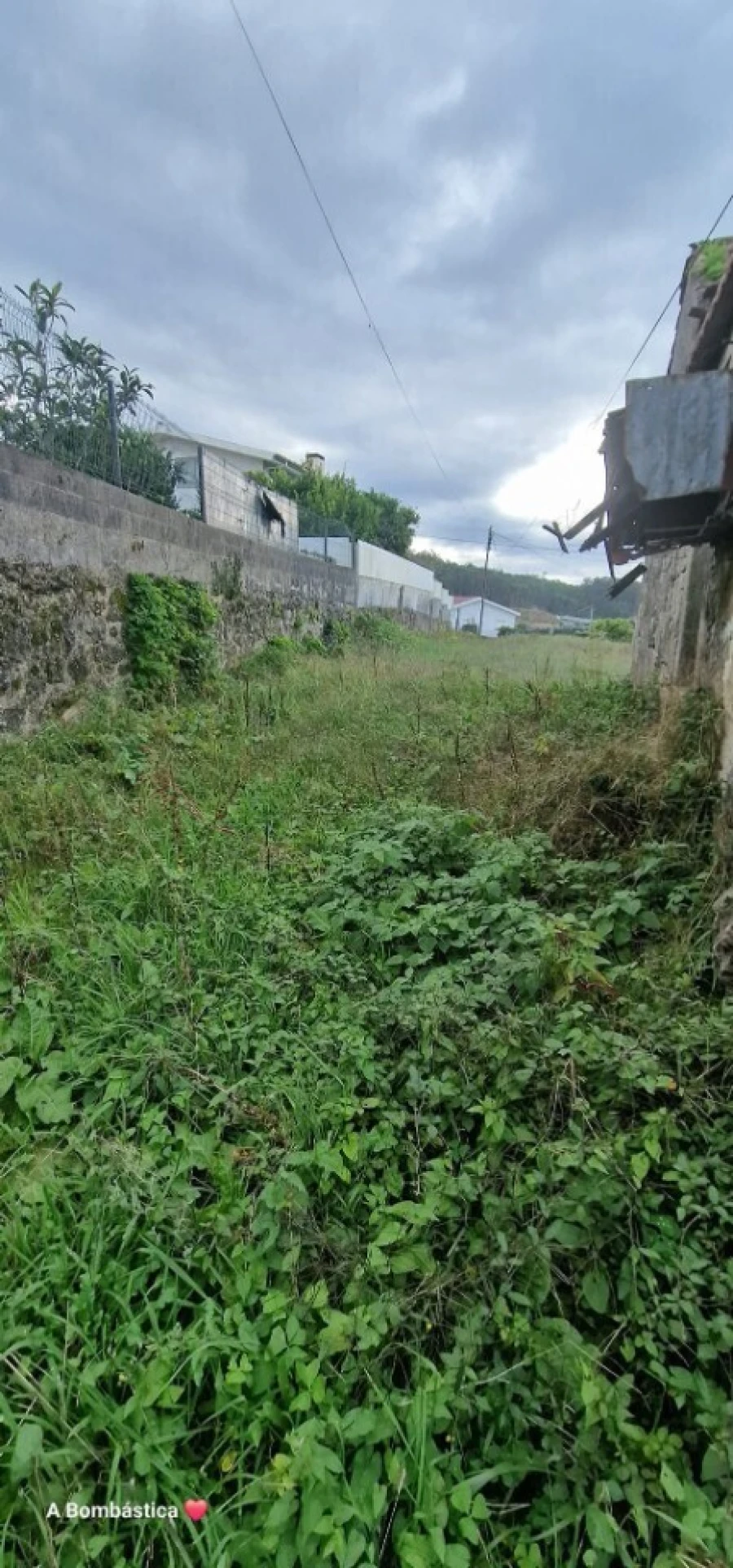 Terreno para Venda em Escariz Foto 5