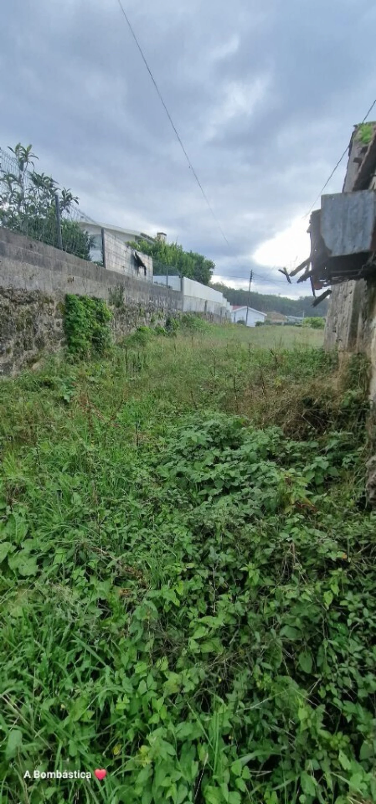 Terreno para Venda em Escariz Foto 5