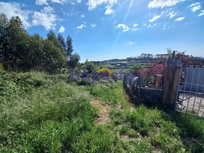 Terreno para Venda em Escariz