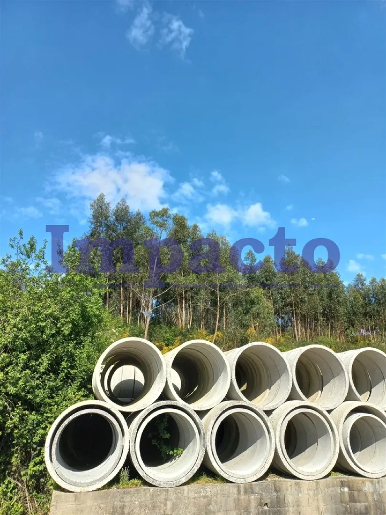 Terreno para Venda em Escariz Foto 9