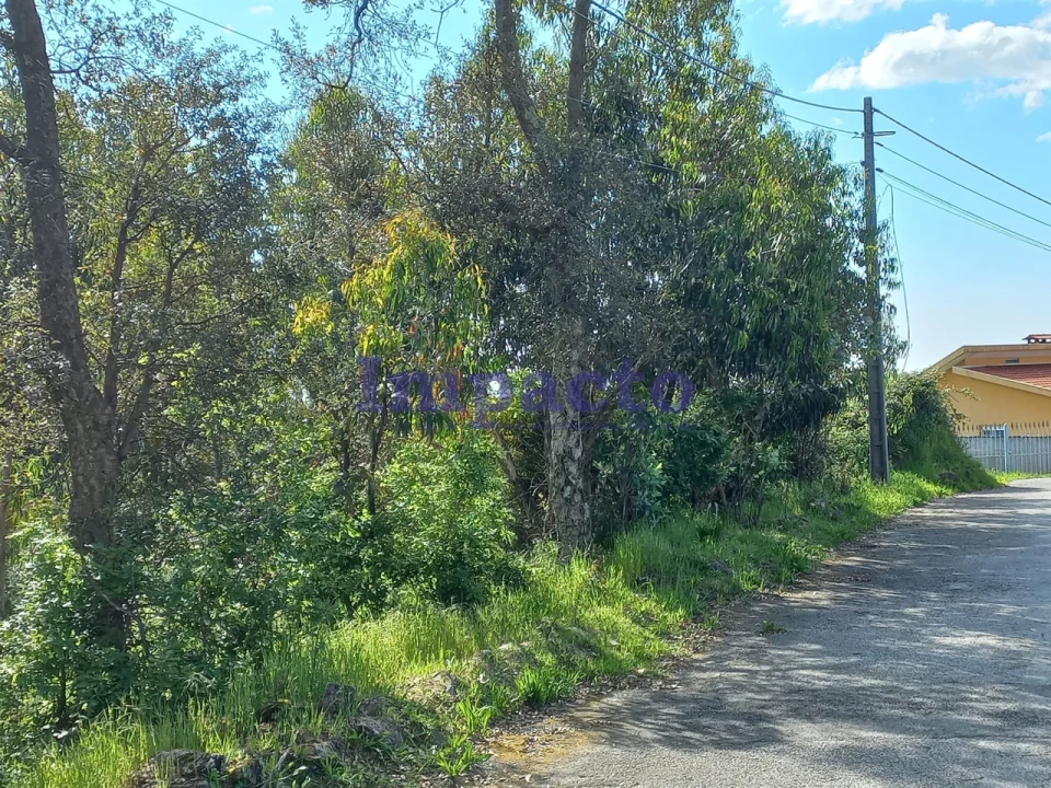 Terreno para Venda em Escariz Foto 6