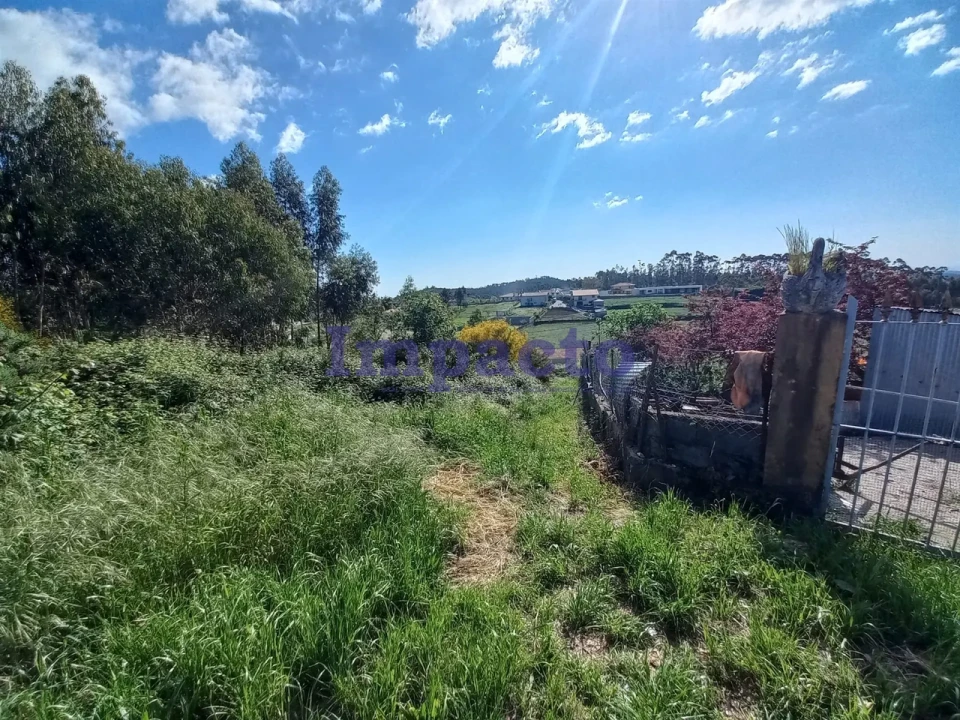 Terreno para Venda em Escariz Foto 1