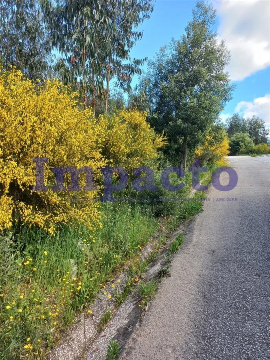 Terreno para Venda em Escariz Foto 6